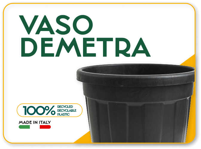 Vaso Demetra